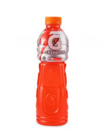GATORADE SURT BT X 500 ML
